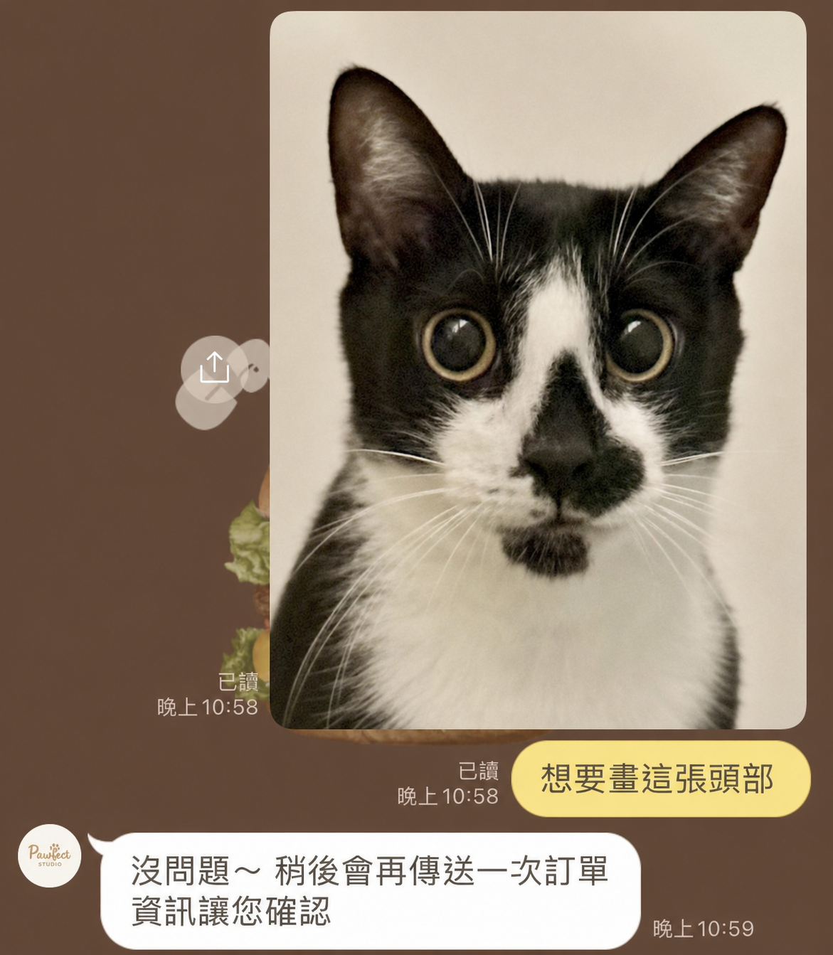 傳送寵物照片與繪製需求的 LINE 對話範例