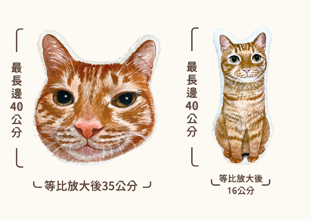 造型抱枕尺寸說明