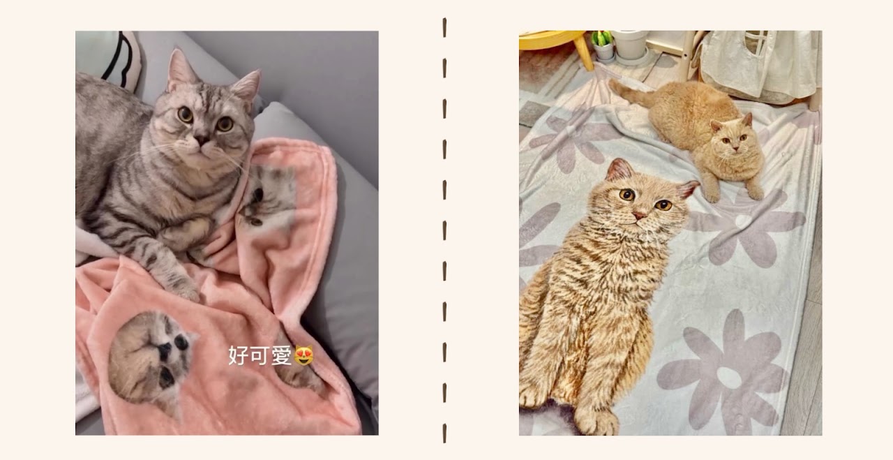 客製毛毯成品實拍分享